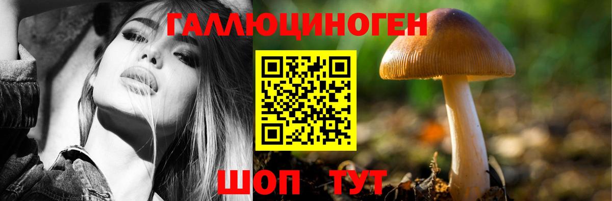 Псилоцибиновые грибы ЛСД  Галлюциногенные грибы Cubensis  Чапаевск  Вход с VPN 